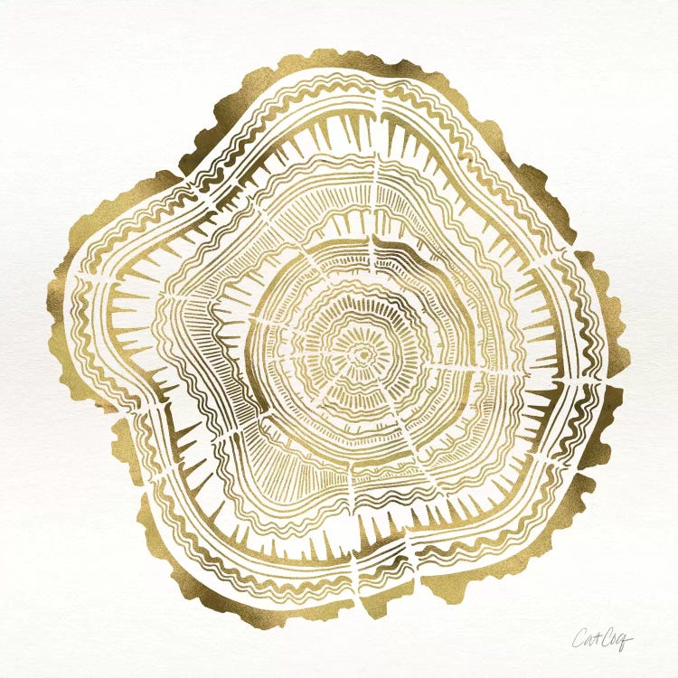 Tree Rings III