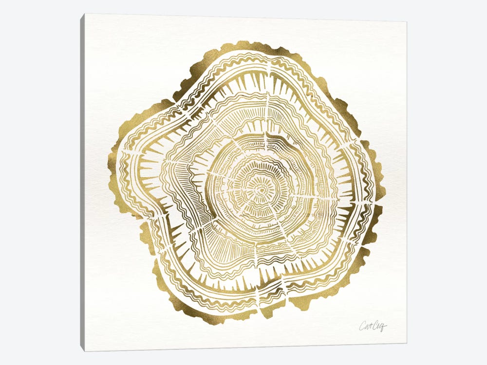 Tree Rings III by Cat Coquillette 1-piece Art Print