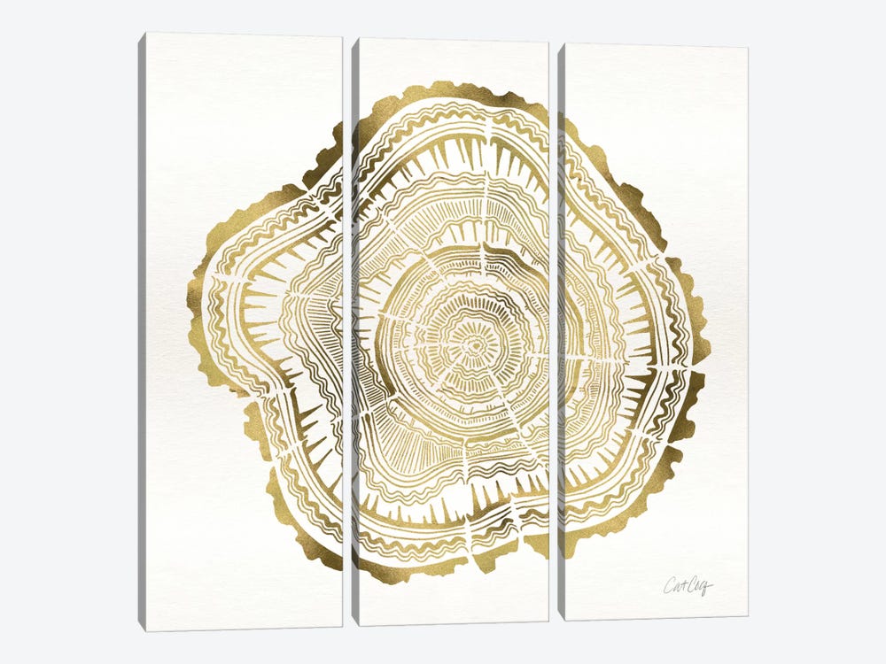Tree Rings III by Cat Coquillette 3-piece Canvas Print