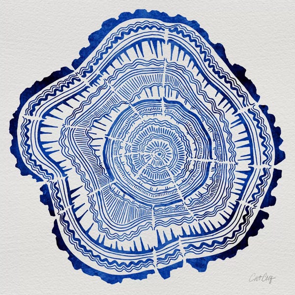 Cat Coquillette: Tree Rings IV by Cat Coquillette