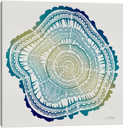 Tree Rings V Canvas Art Print - Cat Coquillette