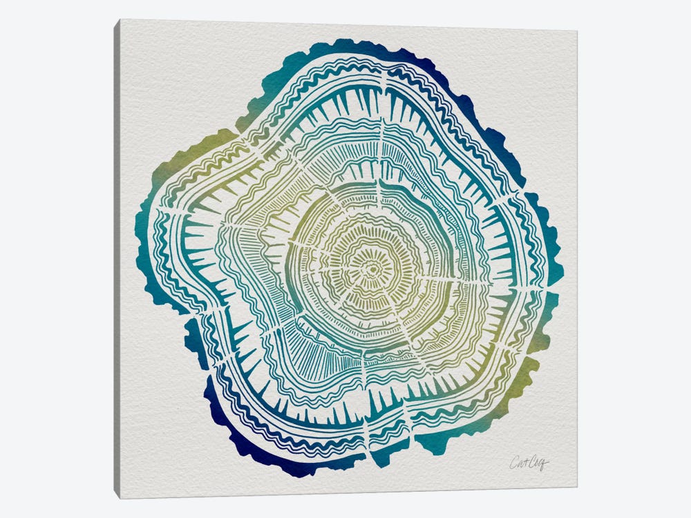 Tree Rings V by Cat Coquillette 1-piece Canvas Print