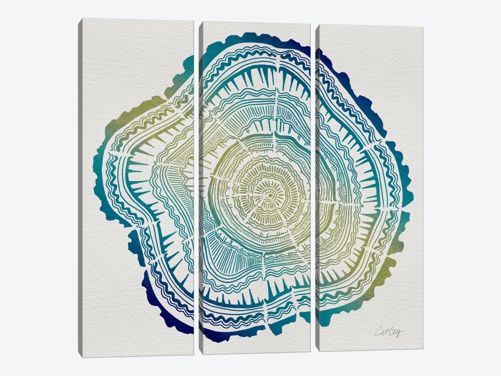Tree Rings V by Cat Coquillette 3-piece Canvas Art Print