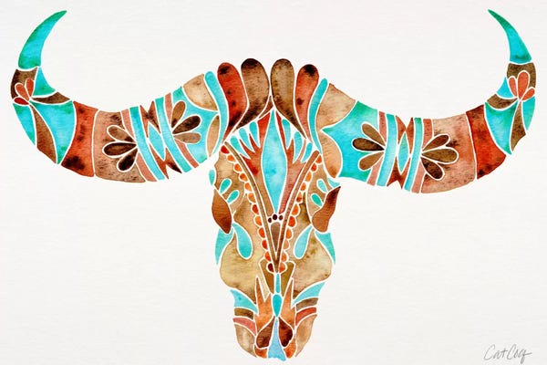 Bison & Buffaloes: Water Buffalo Skull II by Cat Coquillette