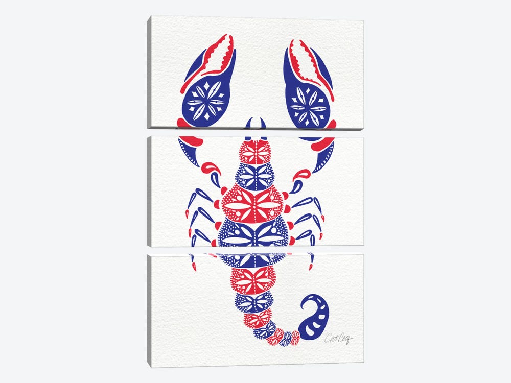America Scorpion by Cat Coquillette 3-piece Art Print