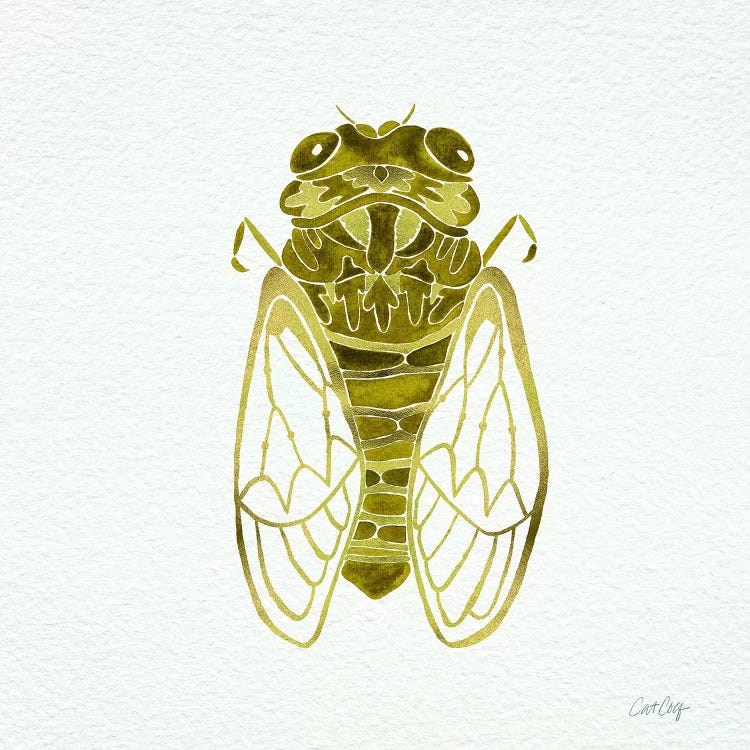 Cicada Gold