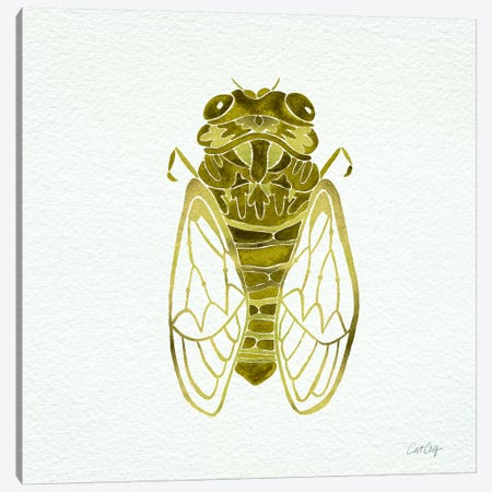 Cicada Gold Canvas Print #CCE2} by Cat Coquillette Canvas Print
