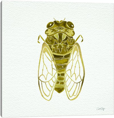 Cicada Gold Canvas Art Print - Insect & Bug Art