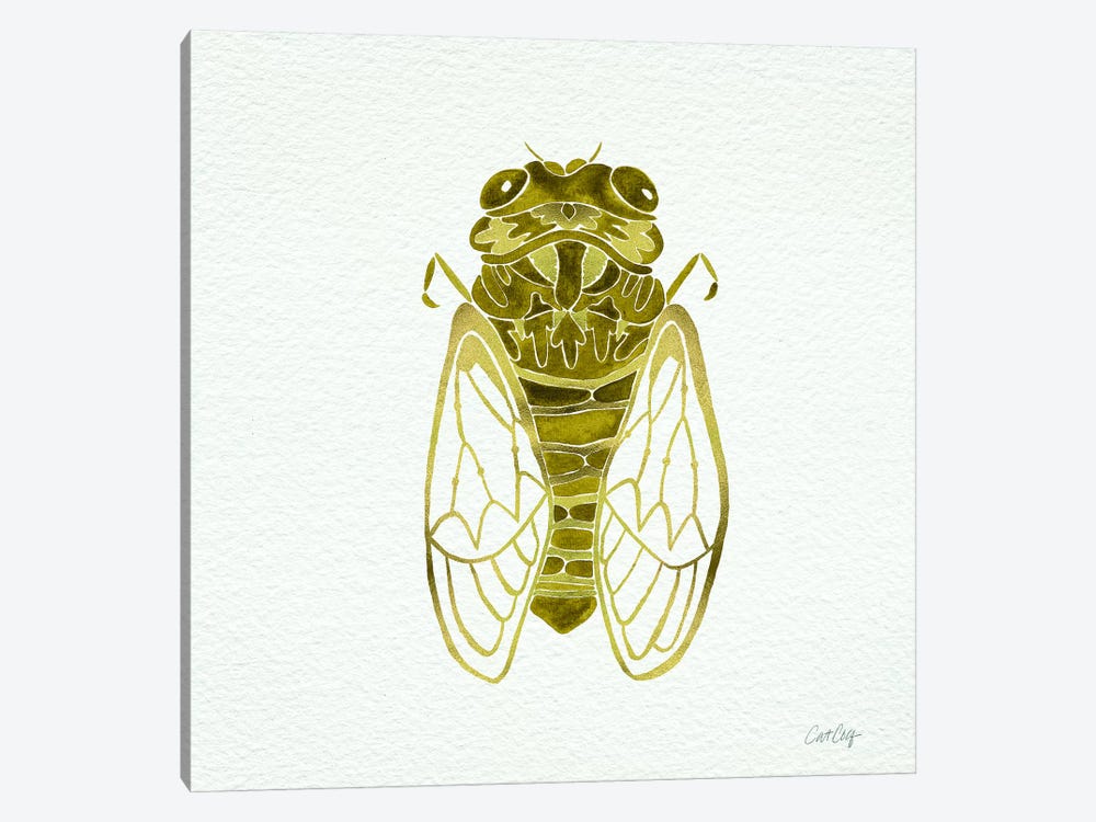 Cicada Gold by Cat Coquillette 1-piece Canvas Artwork