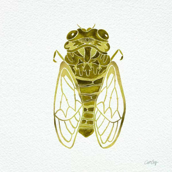 Cicadas: Cicada Gold by Cat Coquillette