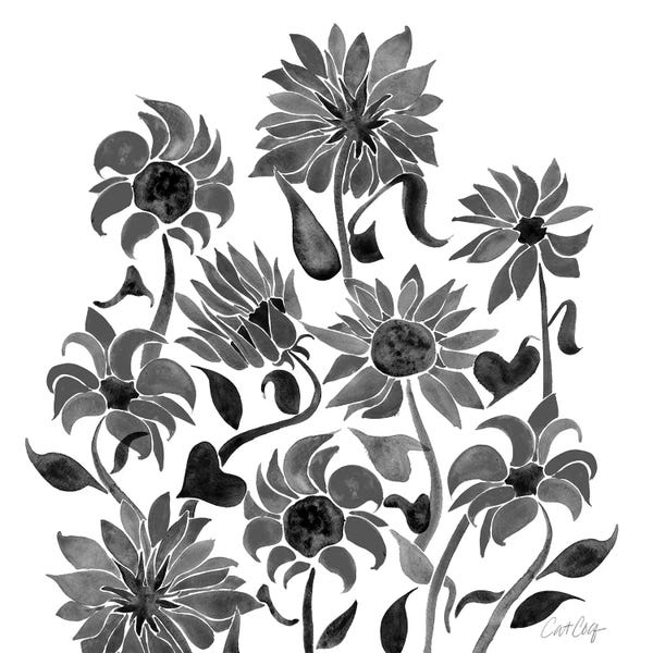 Cat Coquillette: Sunflower Watercolor, Black by Cat Coquillette
