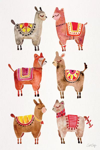 Cat Coquillette: Alpacas by Cat Coquillette