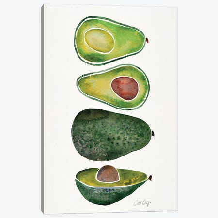 Avocados Canvas Print #CCE319} by Cat Coquillette Canvas Art Print