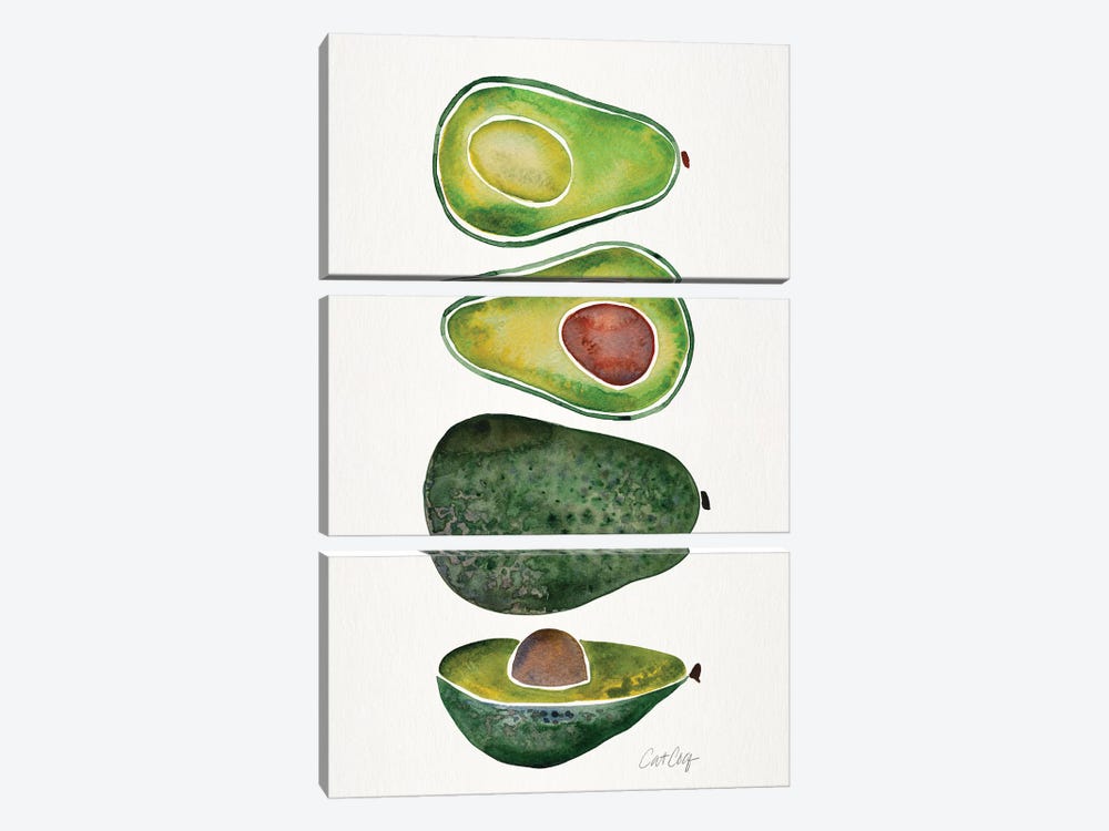 Avocados by Cat Coquillette 3-piece Canvas Art