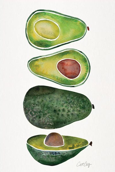 Cat Coquillette: Avocados by Cat Coquillette