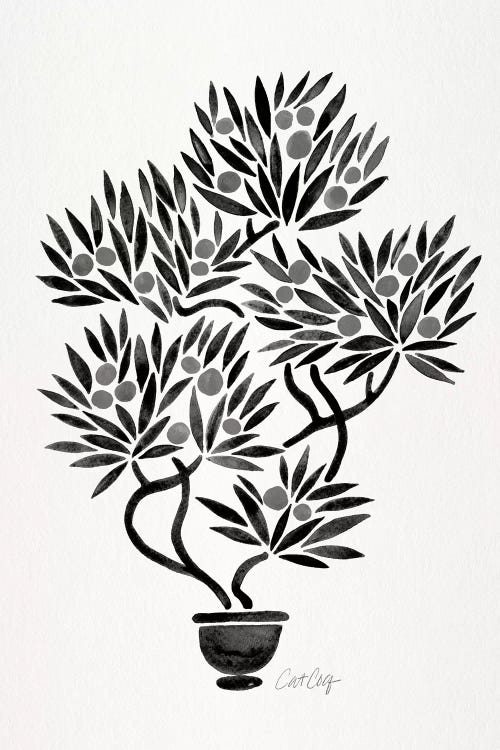Black Bonsai Orange