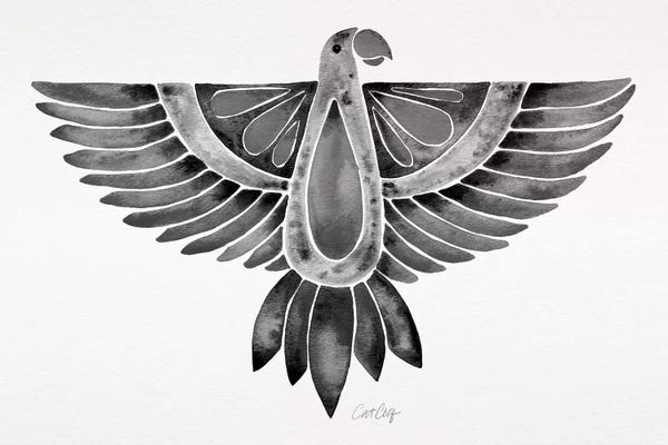 Parrots: Black Parrot by Cat Coquillette