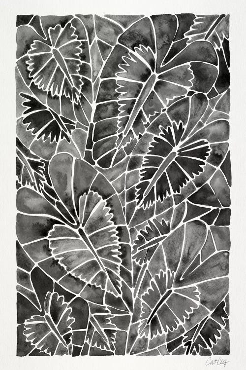 Black Schismatoglottis Calyptrata by Cat Coquillette wall art