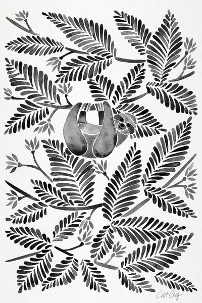 Sloths: Black Sloth by Cat Coquillette