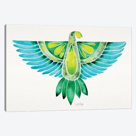 Blue & Green Parrot Canvas Print #CCE336} by Cat Coquillette Canvas Art