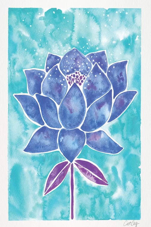 Blue Background Lotus Blossom