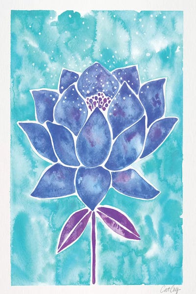 Cat Coquillette: Blue Background Lotus Blossom by Cat Coquillette
