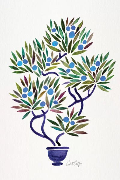 Blue Bonsai Orange by Cat Coquillette canvas print