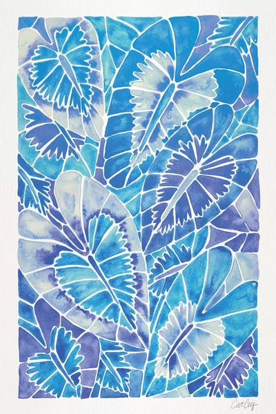 Black & White & Blue: Blue Schismatoglottis Calyptrata by Cat Coquillette