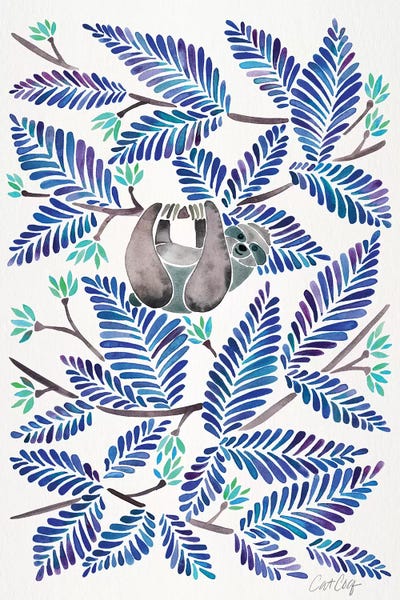 Sloths: Blue Sloth by Cat Coquillette