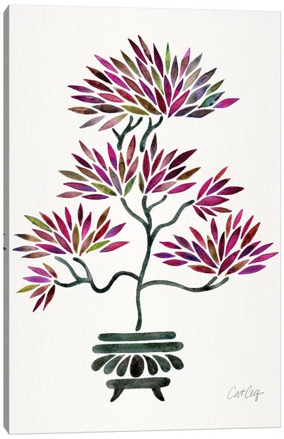 Fuchsia Bonsai Canvas Art Print - Zen Décor