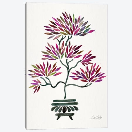 Fuchsia Bonsai Canvas Print #CCE360} by Cat Coquillette Canvas Artwork