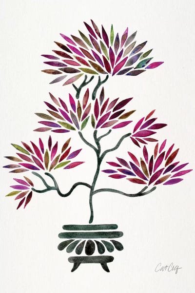Cat Coquillette: Fuchsia Bonsai by Cat Coquillette