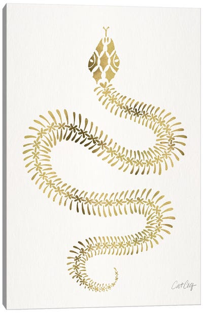 Gold Snake Skeleton Canvas Art Print - Reptile & Amphibian Art
