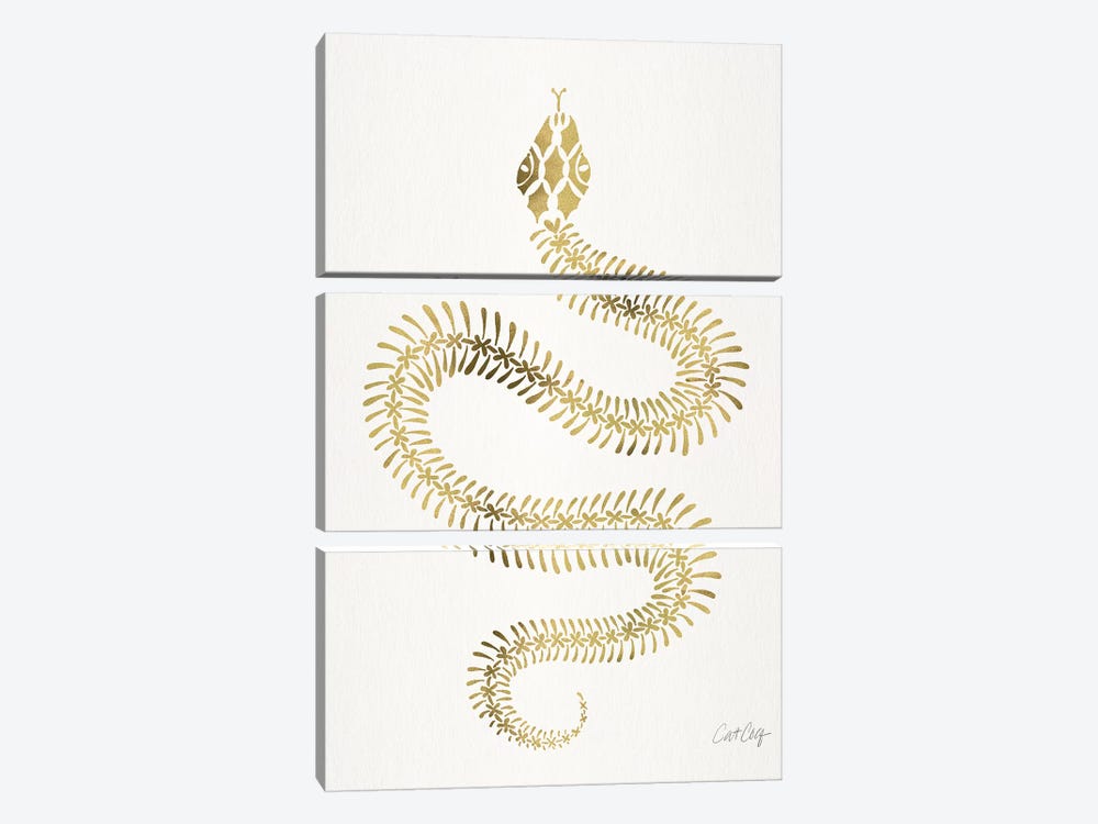Gold Snake Skeleton by Cat Coquillette 3-piece Canvas Wall Art