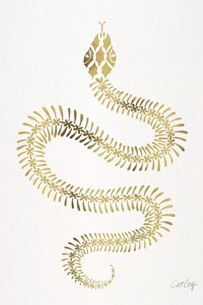Snakes: Gold Snake Skeleton by Cat Coquillette