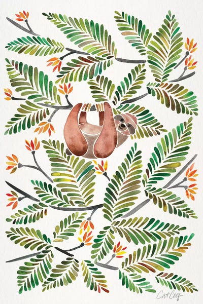 Green Sloth by Cat Coquillette art print