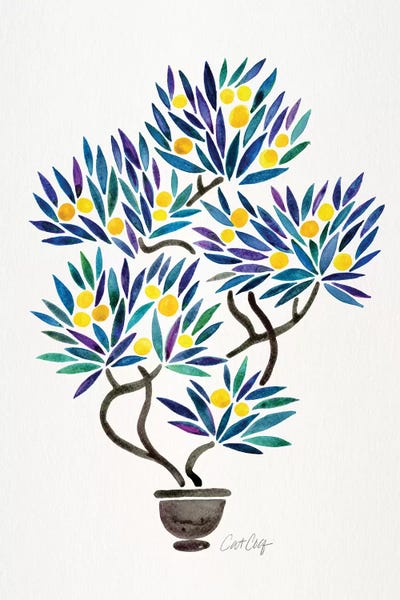 Cat Coquillette: Lemon Bonsai Orange by Cat Coquillette