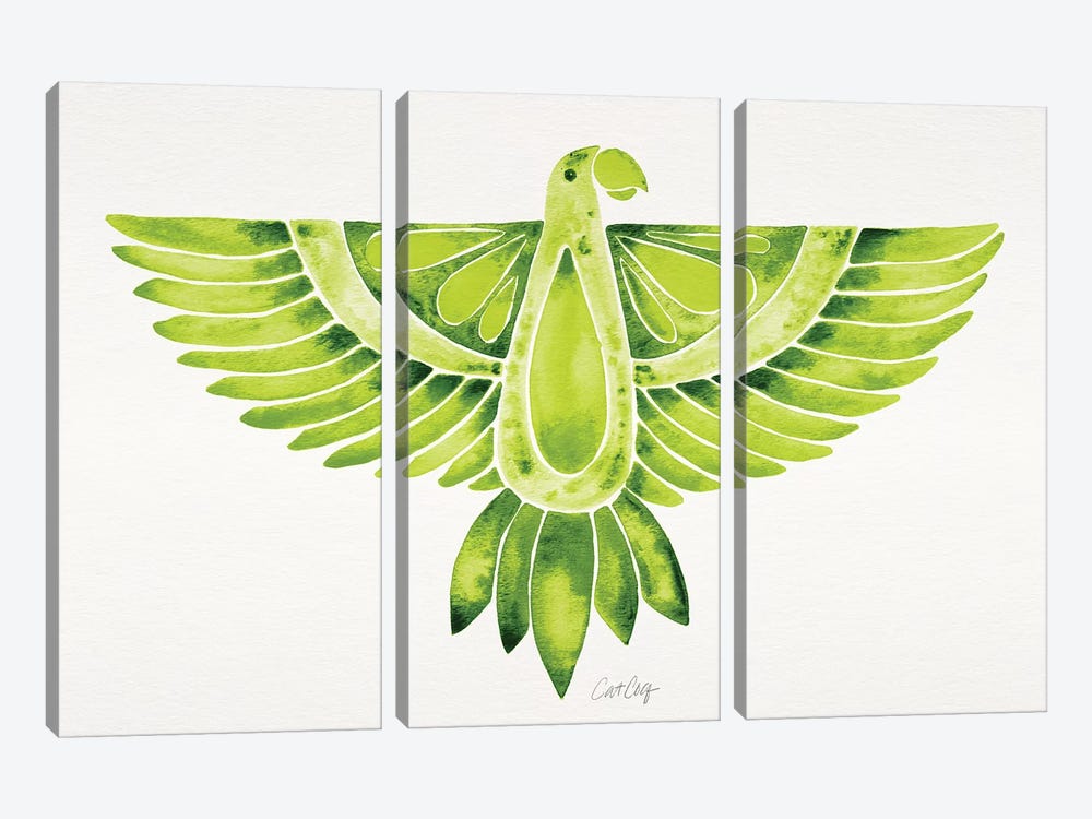 Lime Parrot by Cat Coquillette 3-piece Canvas Art Print