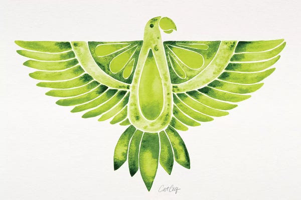 Parrots: Lime Parrot by Cat Coquillette