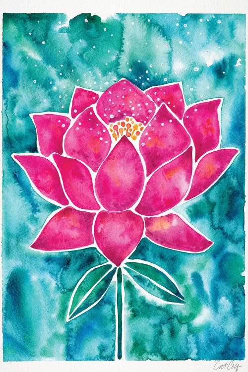 Magenta Background Lotus Blossom