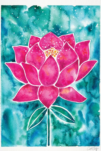 Cat Coquillette: Magenta Background Lotus Blossom by Cat Coquillette