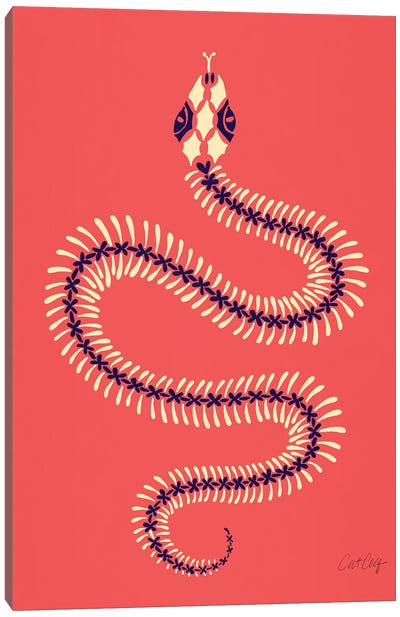 Melon Snake Skeleton Canvas Art Print - Reptile & Amphibian Art