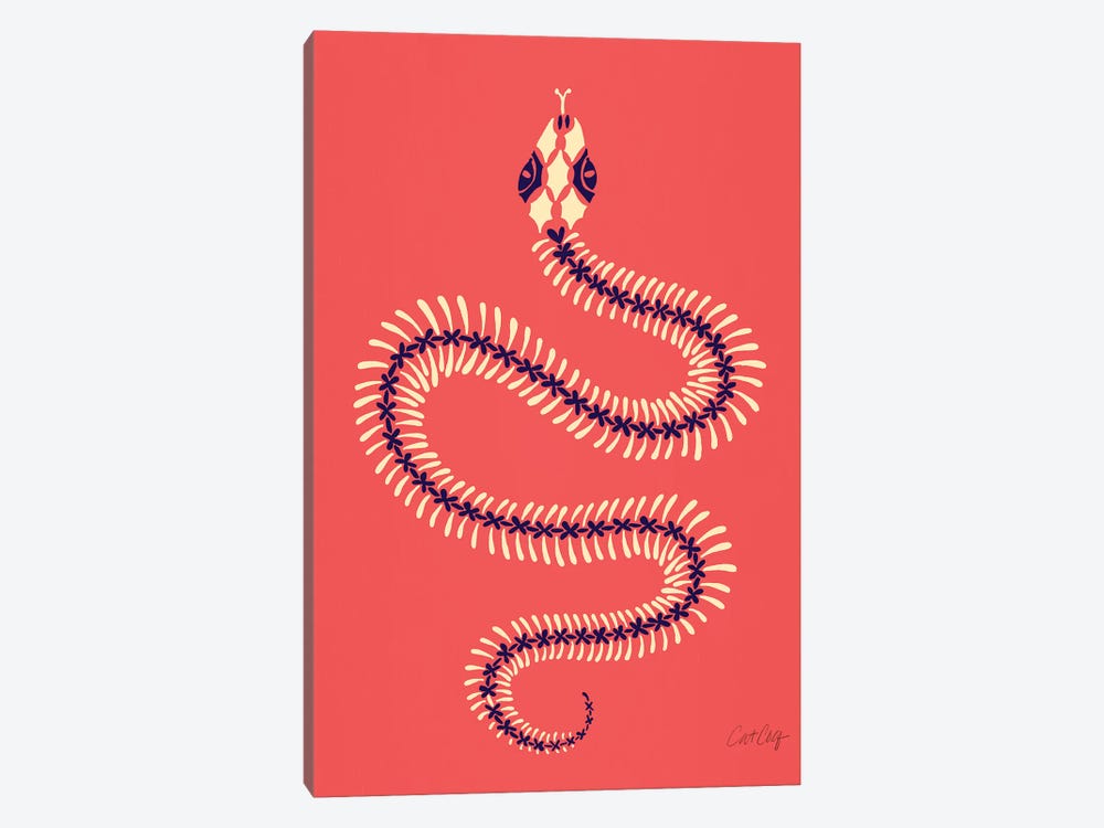 Melon Snake Skeleton by Cat Coquillette 1-piece Art Print