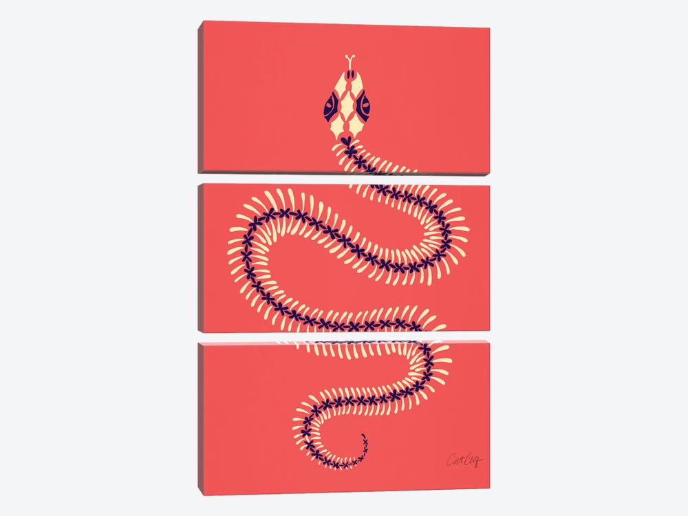 Melon Snake Skeleton by Cat Coquillette 3-piece Canvas Art Print