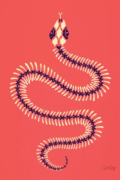 Snakes: Melon Snake Skeleton by Cat Coquillette