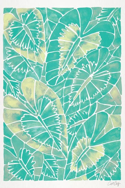 Cat Coquillette: Mint Schismatoglottis Calyptrata by Cat Coquillette