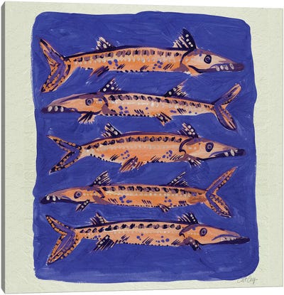 Barracuda Blue Canvas Art Print - Cat Coquillette