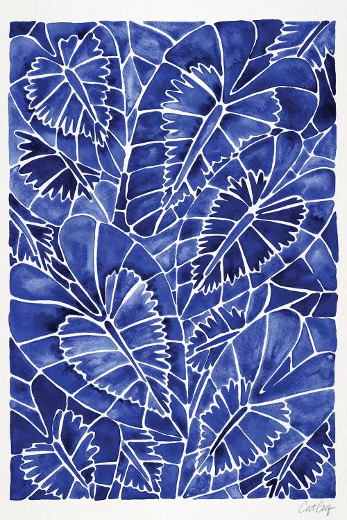 Navy Schismatoglottis Calyptrata by Cat Coquillette wall art