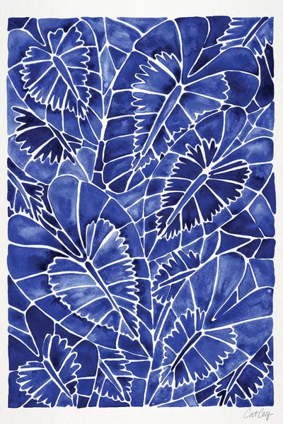 Cat Coquillette: Navy Schismatoglottis Calyptrata by Cat Coquillette
