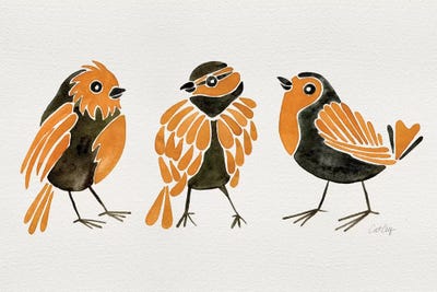 Orange Finches by Cat Coquillette metal wall art